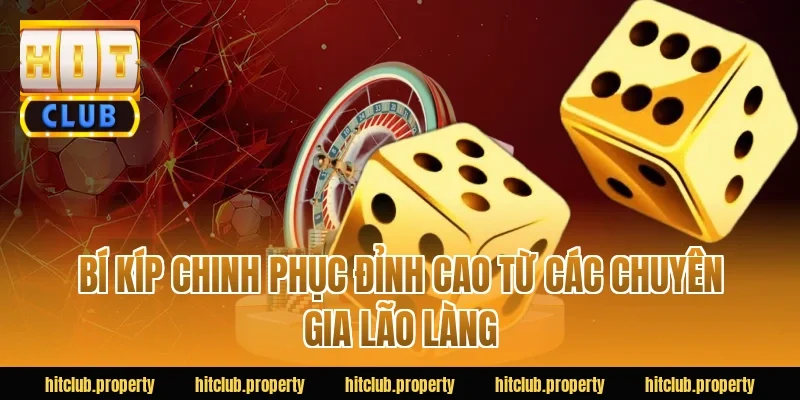 Bí kíp chinh phục đỉnh cao từ các chuyên gia lão làng