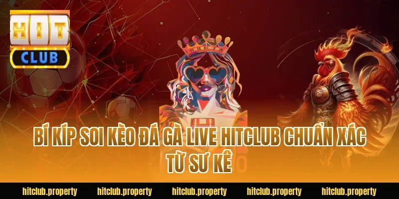 Bí kíp soi kèo đá gà live HITCLUB chuẩn xác từ sư kê