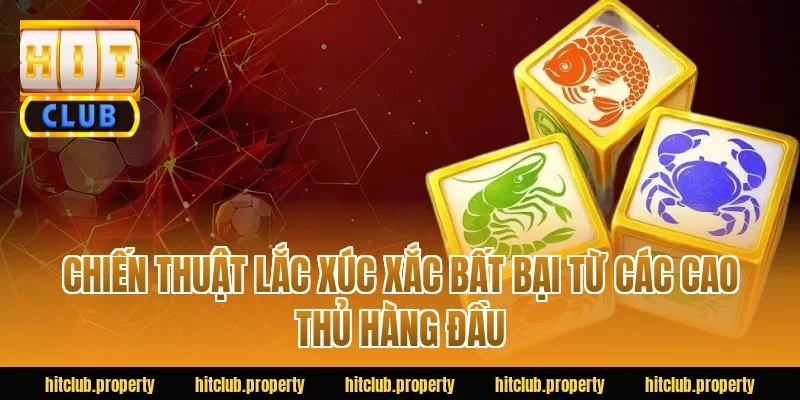 Chiến Thuật Lắc Xúc Xắc Bất Bại Từ Các Cao Thủ Hàng Đầu