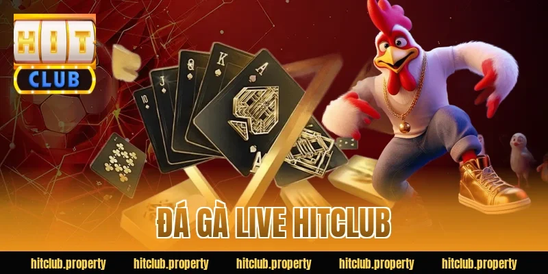 đá gà live hitclub