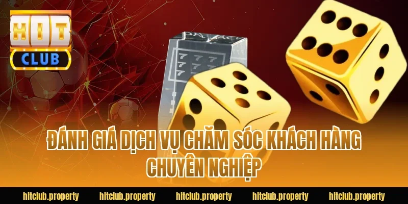 Đánh giá dịch vụ chăm sóc khách hàng chuyên nghiệp