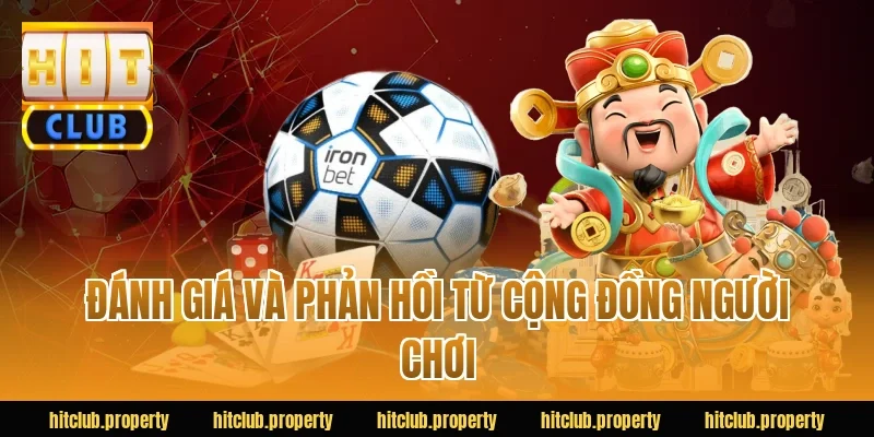 Đánh Giá Và Phản Hồi Từ Cộng Đồng Người Chơi