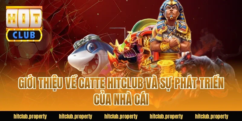 Giới Thiệu Về Catte HITCLUB Và Sự Phát Triển Của Nhà Cái