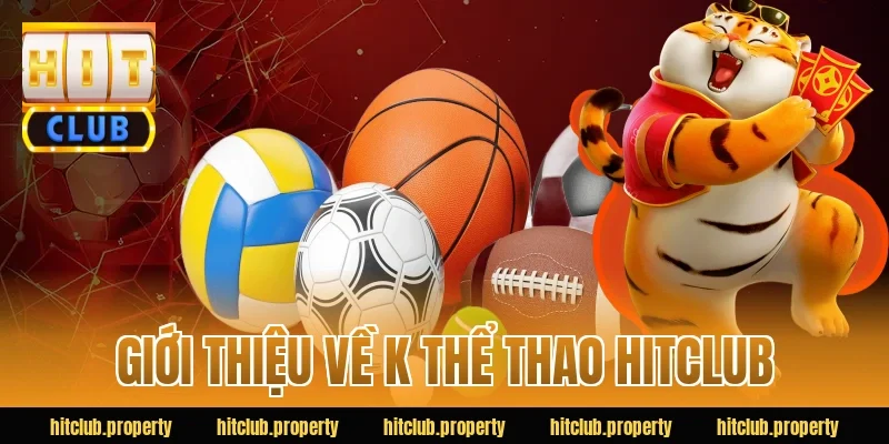 Giới thiệu về k thể thao HITCLUB