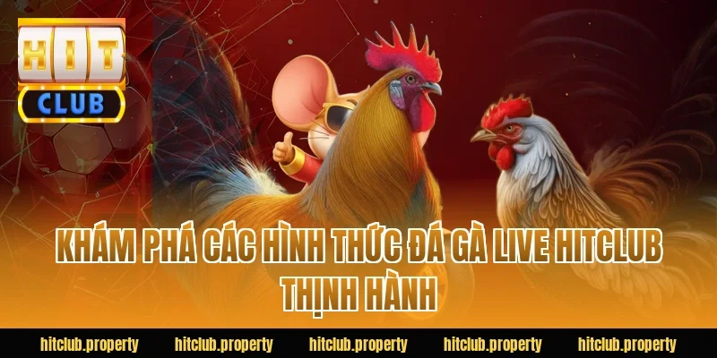 Khám phá các hình thức đá gà live HITCLUB thịnh hành