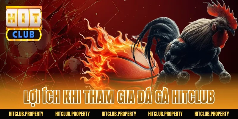 Lợi Ích Khi Tham Gia Đá Gà HITCLUB
