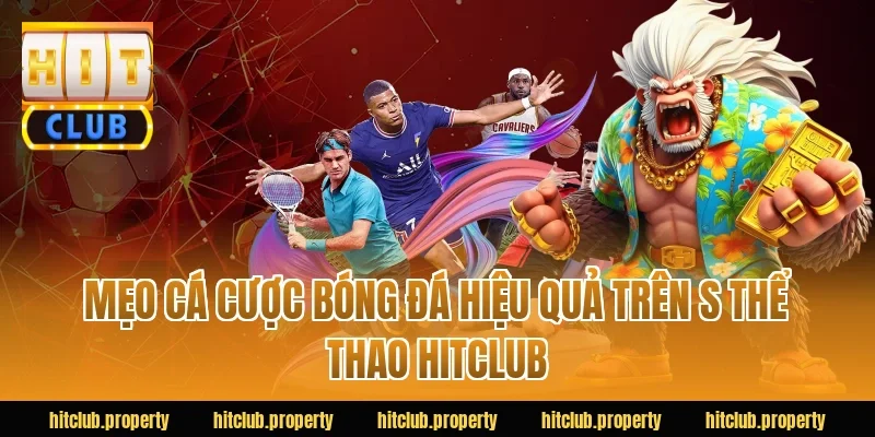 Mẹo cá cược bóng đá hiệu quả trên s thể thao HITCLUB