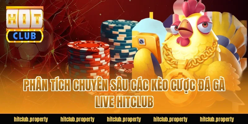 Phân tích chuyên sâu các kèo cược đá gà live HITCLUB