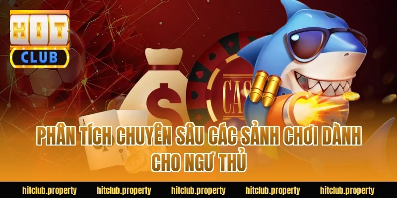 Phân Tích Chuyên Sâu Các Sảnh Chơi Dành Cho Ngư Thủ