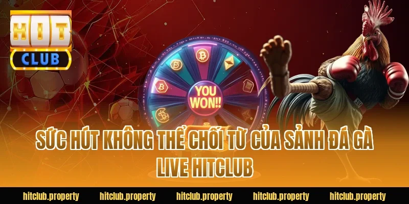 Sức hút không thể chối từ của sảnh đá gà live HITCLUB