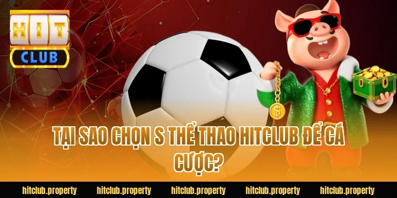 Tại sao chọn s thể thao HITCLUB để cá cược?